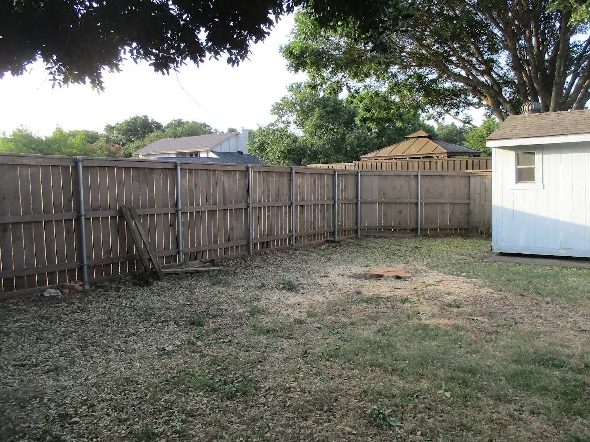 Cleared yard after professional tree removal in Mount Bethel